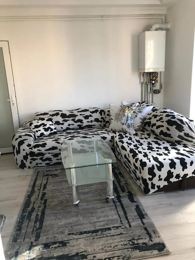 An Apartment In Downtown Bucharest